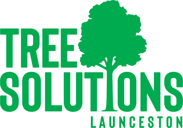 Tree Solutions Launceston